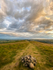 4492 Hope Bowdler Hill, towards Gaer Stone