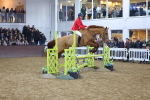 SBM_003763