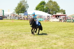 SBM_16737