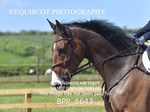 BPP_6643