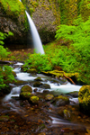 Ponytail falls
