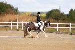 SBM_009323