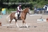 BPP_7076