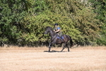 WJ6_6774