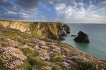 Colours of Bedruthan