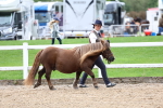 SBM_01096