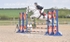 BPP_4449