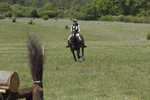 BVHT 140517  IXC -636