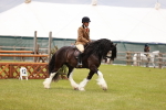 SBM_06188