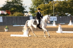 SBM_52982