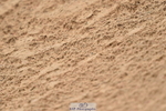 231028A-120546-01006
