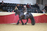 SBM_10638
