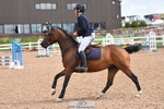Saturday Wessex Arena portfolio