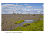 The Wash, Source Of The Fenland's