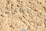 230811A-143047-05790