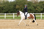 SBM_001593