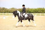 SBM_007496