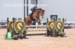 BPP_8553