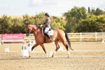 SBM_008609