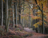 Woodland beauty