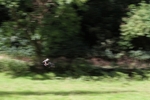 FOM_0779