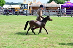 SBM_03602