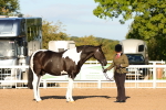SBM_07975
