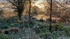 Autumn Sunrise 2