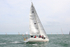 150816 FASTNET RACE ZARAFA GBR 7712 R WT7A9979