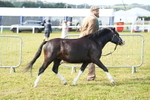 DSC04927