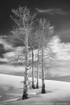 Ode to Winter