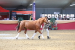 SBM_16696