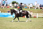 3E7A8919