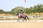 SBM_010371