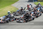 Kart Championship_Summer Round-4-6