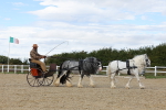 SBM_001202