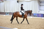 SBM_006949