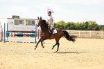 SBM_003615