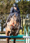 Senior Showjumping_10-11-2019-4