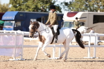SBM_12482