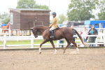 SBM_21337