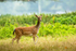20140929-3K8A5893