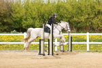 SBM_004401