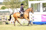 SBM_17997