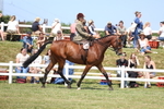 3E7A9603