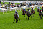 060926-Race 1-Mezzo Forte-0031