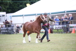 SBM_09827
