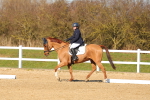 SBM_003474