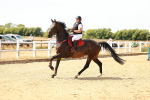 SBM_003332