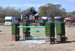 BPP_2103